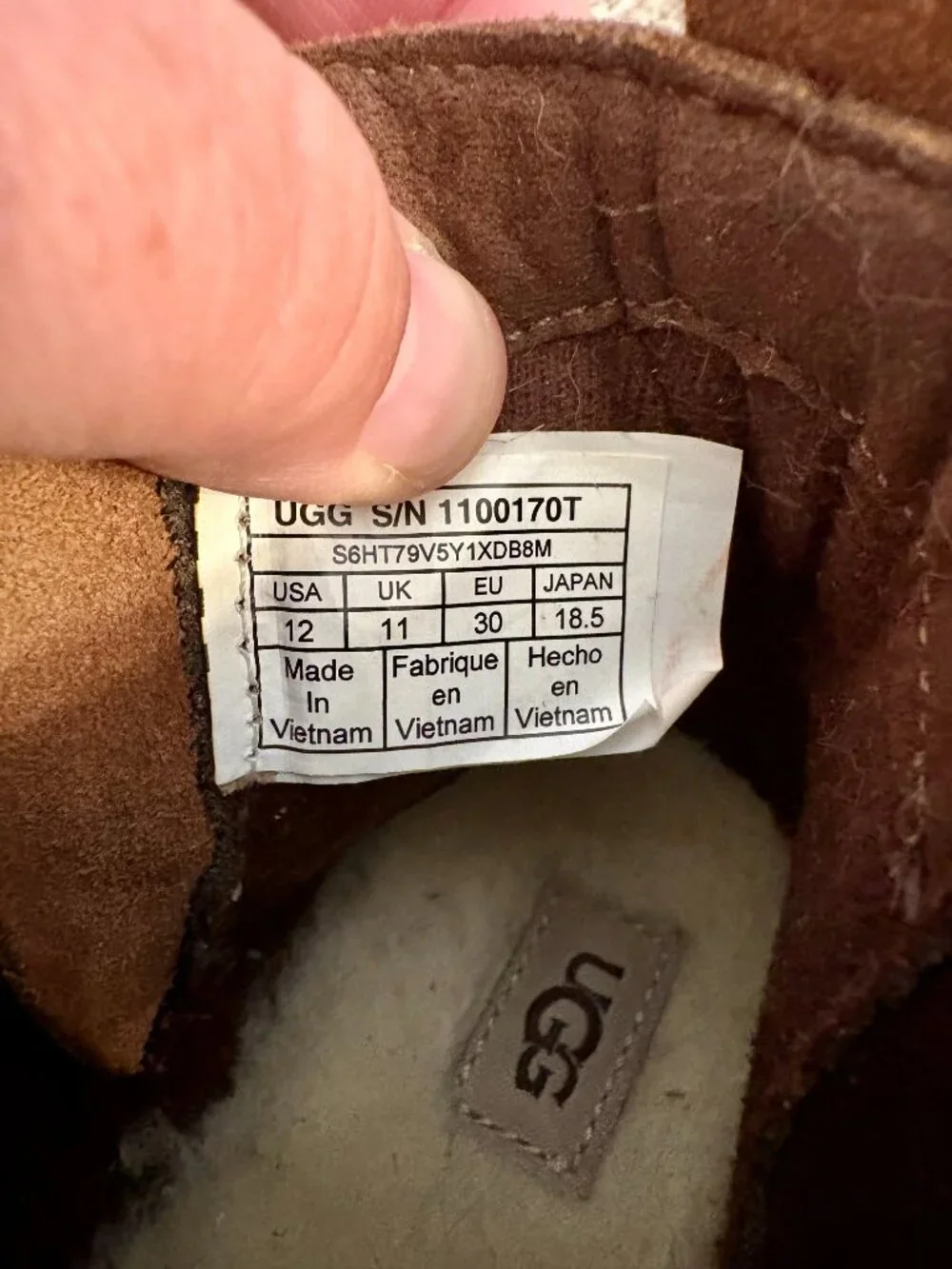 Kids UGG Callum Chelsea Ankle Boots Size 12 Brown Zippered EUC Boy or Girl